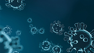 Information Coronavirus