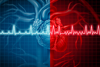 Rythme cardiaque